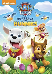 Paw Patrol: Spring Into Action